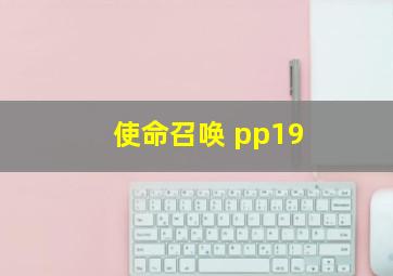 使命召唤 pp19